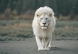 © Vieriu Adrian/Wirestock Creators - AI generated illustration of a majestic white lion under the sunlight with a blurry background