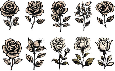 rose leaf illustration isolated set white black bud floral flower vector graphic tattoo drawing collection element decoration vector set