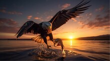 AI Generated Illustration Of A Bald Eagle Catching Fish While Soaring Over The Sea At Sunset