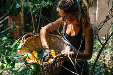 Young Woman Standing Near Green Tree With Lemons In Wicker Basket And Touching With Glove Hand