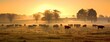 canvas print picture - Panorama of grazing cows in a meadow with grass covered with dewdrops and morning fog, and in the background the sunrise in a small haze. Created with Generative AI technology.
