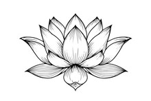 A Lotus Lily Water Flower In A Vintage Woodcut Engraved Etching Style Vector Illustration.