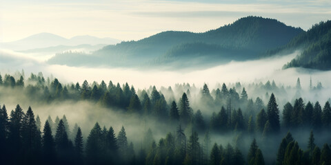 Wall Mural - landscape of mountains and pine forest with mist and fog at morning, mystic panoramic view, generative ai