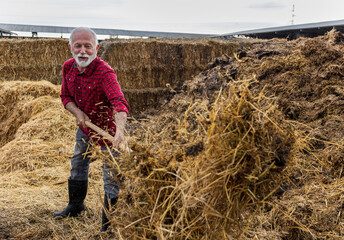 Wall Mural - Farmer working and cleaning barn of manure