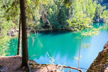  lake in the forest