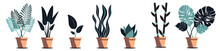 Set Of Different Types Of Plants In Pots With A White Background.