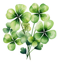 Watercolor Clipart St. Patrick's Day Shamrocks Isolated.