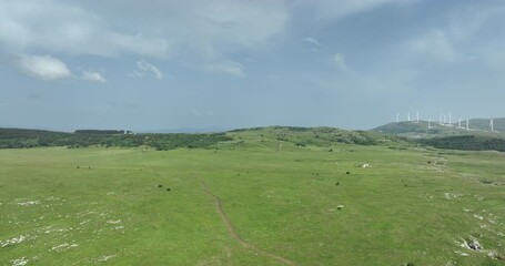 Wall Mural - Aerial shot of meadows covered with soft mist on a cloudy day in the countryside.