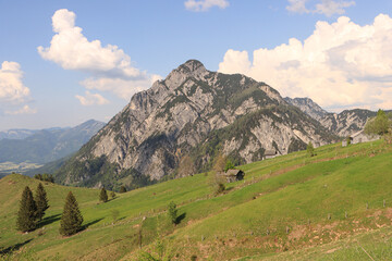 Wall Mural - Frühling im Salzkammergut; Wanderregion Postalm mit Rinnkogel (1823m)