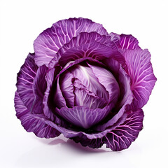 Wall Mural - red cabbage isolated on white background