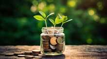 Glass Jar With Coins And Green Seedling On Soil Against Blurred Background