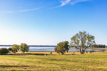 Wall Mural - View at a lake from a meadow with lush green trees