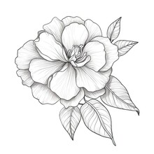 Red Camellia Flower Ai Generated