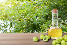 Amla Or Indian Gooseberry Oil  With Fresh Fruit On Wooden Table With Gooseberries Tree Plantation Background.