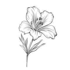 Wall Mural - floral Alstroemeria flower ai generated