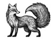 beautiful fox vintage sketch