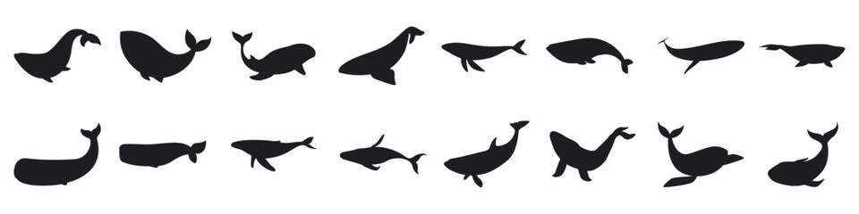 Poster - Whale icon vector set. Sperm whale illustration sign collection. Fish symbol. Ocean logo.