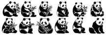 Panda Silhouettes Set, Large Pack Of Vector Silhouette Design, Isolated White Background
