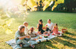 © Soloviova Liudmyla - Big family sitting on the picnic blanket in city park during weekend Sunday sunny day. They are smiling, laughing and eating boiled corn and watermelon. Family values and outdoors activities concept.