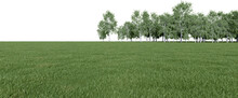 Realistic Meadow And Forest Tree Line. 3d Rendering Of Isolated Objects.