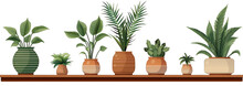Set Of House Plants Illustrations Cartoon