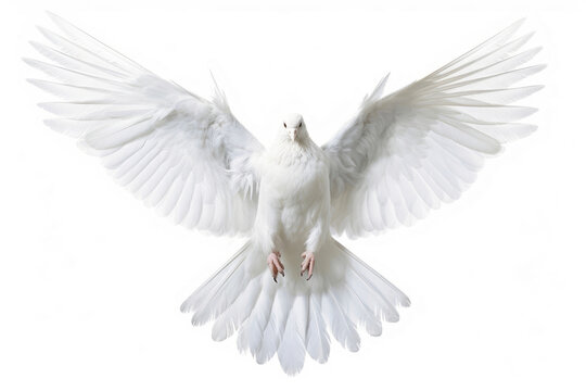 White dove wings open as a symbol against a white background. Generative AI