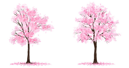 Wall Mural - vector watercolor blooming flower tree side view isolated for landscape and architecture drawing, el