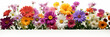 spring flowers border isolated on white background. Image for wedding or birthday invitation cards. 
