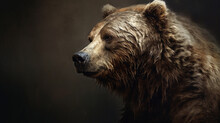 Brown Bear Portrait HD 8K Wallpaper Stock Photographic Image