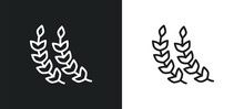 Pinnate Outline Icon In White And Black Colors. Pinnate Flat Vector Icon From Nature Collection For Web, Mobile Apps And Ui.
