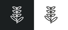 Lavender Outline Icon In White And Black Colors. Lavender Flat Vector Icon From Nature Collection For Web, Mobile Apps And Ui.