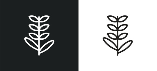 lavender outline icon in white and black colors. lavender flat vector icon from nature collection for web, mobile apps and ui.