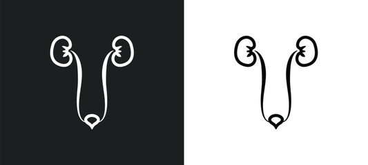 Wall Mural - two kidneys outline icon in white and black colors. two kidneys flat vector icon from human body parts collection for web, mobile apps and ui.
