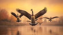 Geese Flying Over The Lake In Autumn. 