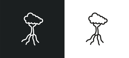 Wall Mural - tree and roots outline icon in white and black colors. tree and roots flat vector icon from ecology 