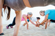 © okrasiuk - Women of various ages doing fitness workouts in class exercise with coach on beach. Ladies doing paired plank exercises and high-fiving each other. Sport for health and wellbeing. Active lifestyle
