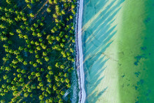 Aerial View Of Trees On The Beach Along The Coastline Facing The Gulf Of Mexico, In Sinanché Municipality, Yucatan, Mexico.