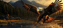 American Bald Eagle In Flight Over Alaskan Waters