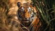 AI-generated illustration of a majestic Bengal tiger seen through tall grass