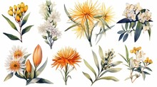 AI Generated Illustration Of Different Floral Species Painted In Vibrant Watercolors