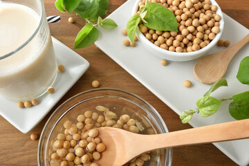 Wall Mural - Preparing soy drink at home with soaked dry beans