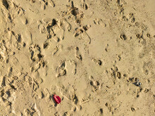 Aerial View Of Footsteps In The Sand On Tropical Beach.