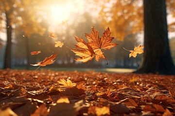 Poster - falling maple leaves in autumn park.