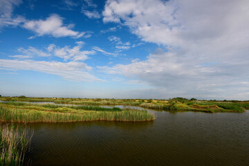 Sticker - Feuchtgebiet im Nationalpark Axios-Delta, Griechenland // Wetland in Axios Delta National park , Greece 