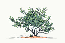 Doodle Inspired Mesquite Bush, Cartoon Sticker, Sketch, Vector, Illustration