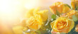  Graceful Yellow Roses and Beautiful Blooms Bathed in Soft Light - A Delicate Artistic Illustration.