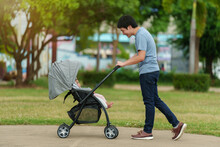 Happy Father Looking And Pushing Infant Baby Stroller While Walking In Park