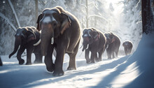 Large Herd Of African Elephants Walking In Snow Generated By AI
