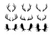 Antlers silhouette vector isolated on white background.