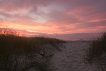 Wall Mural - Pink sunrise overlooking dunes at Assateague Beach in Virginia.